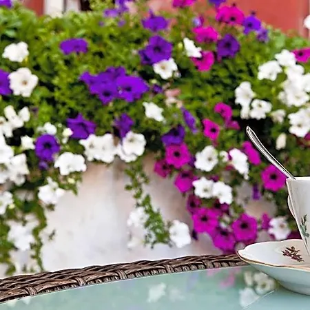 Arabesque Velence